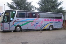 Decorazione e Personalizzazione Grafica Camion e Rimorchi a Bari
