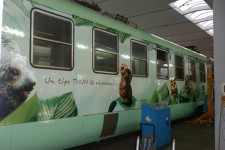 Decorazione e Personalizzazione Grafica Camion e Rimorchi a Bari